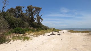 Aransas NWR, Perhaps the Best in Texas