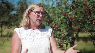 Fruit and Vegetable Crop Management at MSU IAT/Northwestern Michigan College
