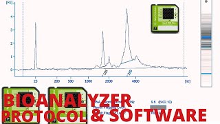 BIOANALYZER 2100 Protocol and Software Guide: Optimizing Your Analysis Workflow