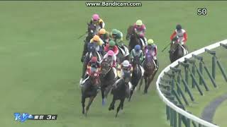 シャオママル 2歳未勝利 - YouTube