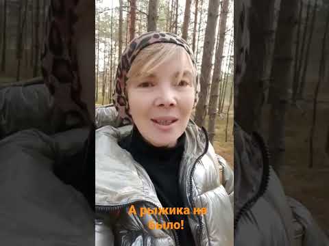 Рыжика не было в моей коллекции деликатесных грибов теперь есть #грибы #рыжики #деликатес #дарылеса