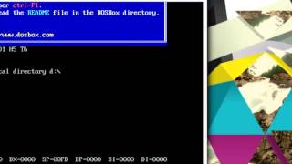 Assembly Language Tutorial 6 Wealth