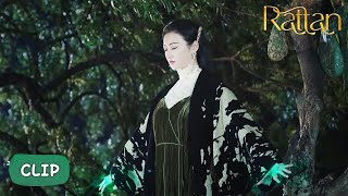 Si Teng's Power?! Will She Find Bai Ying This Time? | Rattan Si Teng's Power?! Will She Find Bai Ying This Time? | Rattan