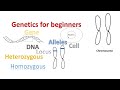 Basics of Genetics Quiz