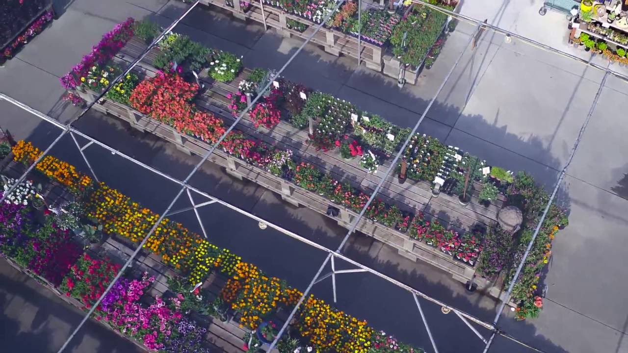 Tour Green Acres Nursery & Supply in Sacramento, CA YouTube