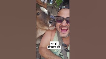 जय हो गौ माता की #gopalpathak #naithana #cybersecurity #gopal #databackup #datarecovery