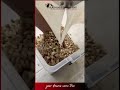 Tek Kanallı Yatay Antep Fıstığı Ayıklama Makinesi | Single Chute Pistachio Sorting Machine