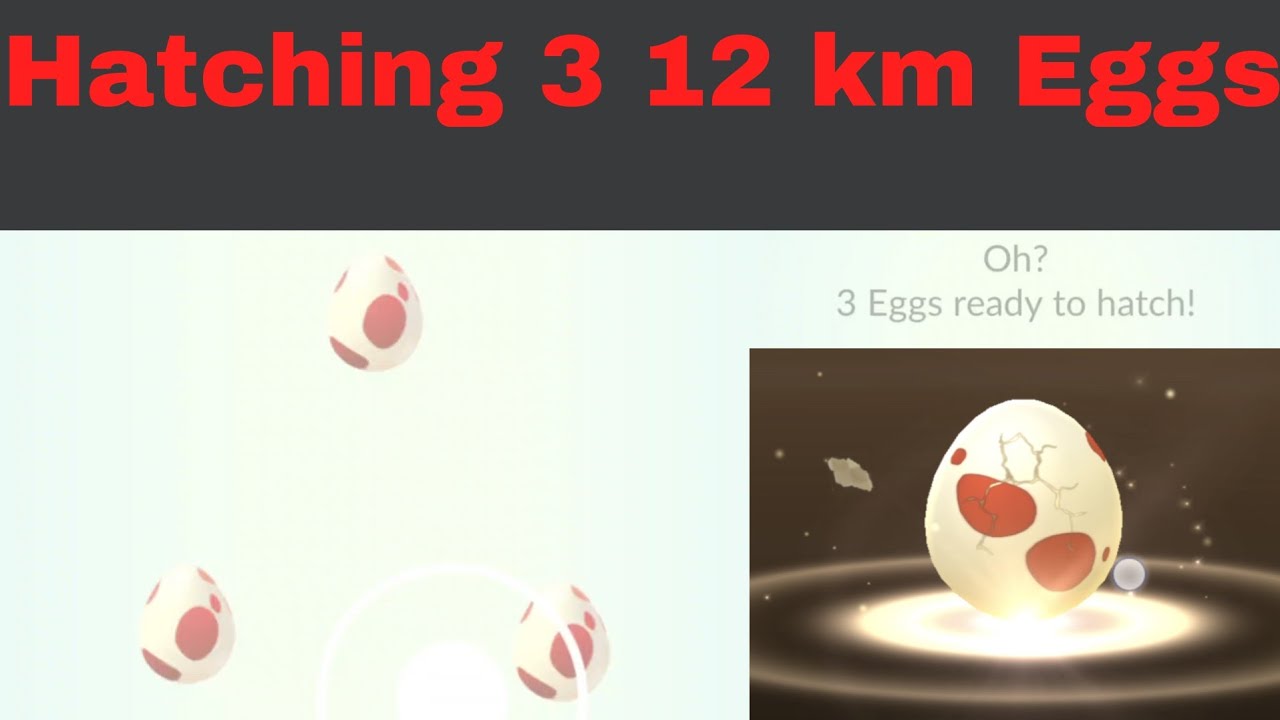 2024 08 11 21:17 Hatching 3 12 km Eggs | Pokémon Go - YouTube