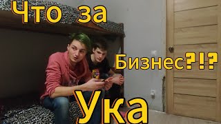 Что за бизнес???