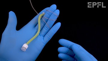 Inverse hydraulic artificial muscles powered with EHD fiber pumps