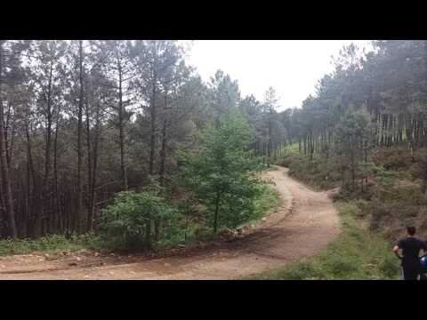 Elfyn Evans Test WRC Ford Fiesta M-Sport (Labruja, Ponte de Lima Portugal) 2017