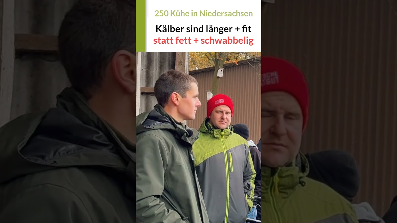 Kälber sind "lang + fit" statt "fett + schwabbelig"! 