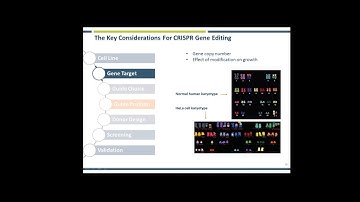 The Key Considerations for CRISPR Genome Editing