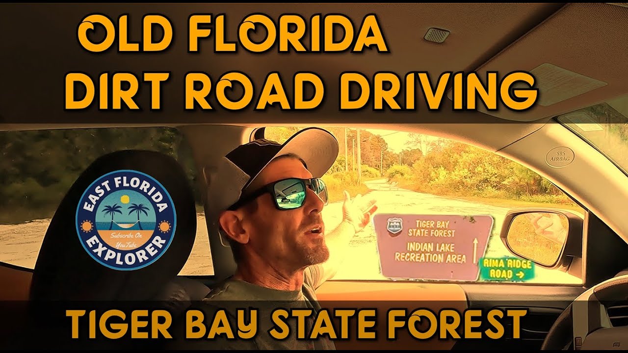 Старая грунтовая дорога Флориды - Государственный лес Тайгер-Бэй