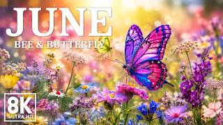Springtime Splendor 8K 🌸 Buzzing Bees & Dancing Butterflies | A Symphony of Spring in Ultra HD