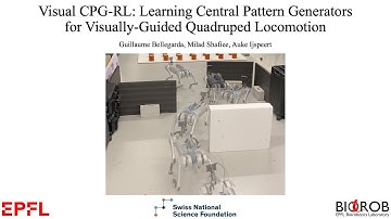 Visual CPG-RL: Learning Central Pattern Generators for Visually-Guided Quadruped Locomotion