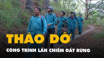Tháo dỡ các công trình lấn chiếm đất rừng trên đèo Ngoạn Mục