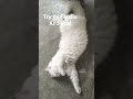 #helpmemakethismakesense #virqlshorts
