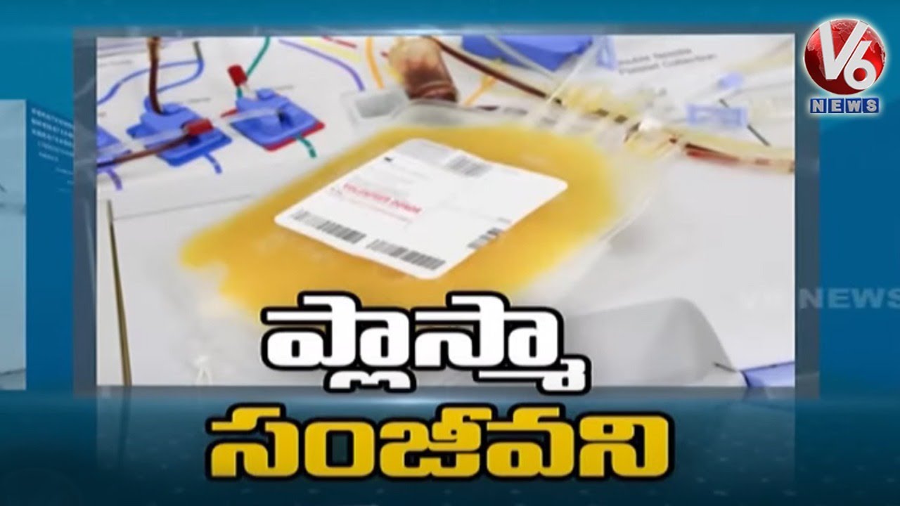 Donate Plasma Save Covid 19 Patients V6 News Youtube