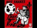 Hot Snakes - Plenty For All - Audit In Progress