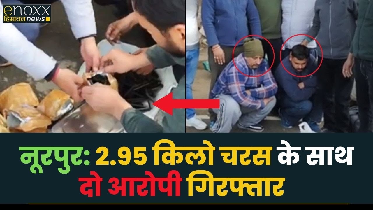 Himachal Top News | Nurpur Police ने 2 किलो 950 ग्राम चरस के साथ दो आरोपियों को  किया गिरफ्तार