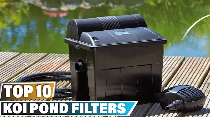 Koi Pond Filter: ✅ Best Koi Pond Filters 2025 (Buying Guide)