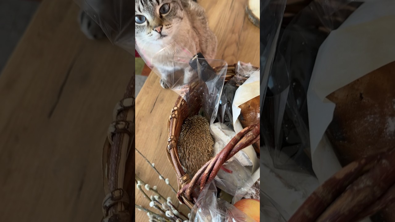 Обнаружено интересное яичко в Пасхальную седмицу 