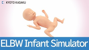MW33 ELBW Infant Simulator