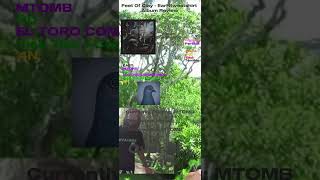 Feet Of Clay - Earl Sweatshirt Album Review