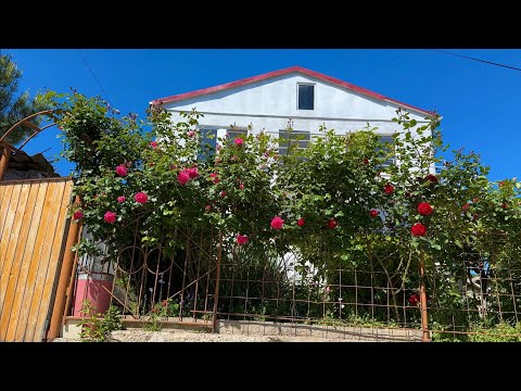 Видео: Посмотрите, как люди живут возле моря в маленьком посёлке Голубой Залив. Симеиз, скала Дива, море.