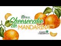 Cheesecake de mandarina con PILSAC