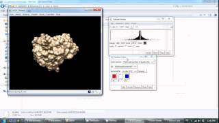 How to use DelPhi and how to visualized potential map (2)