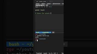 Python Guess the Output #69 🤔🔥