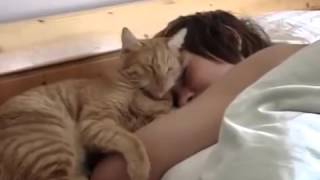 Уморительный ролик про любовь кота к хозяину. Смотреть всем! Уморительный ролик про любовь кота к хозяину. Смотреть всем!