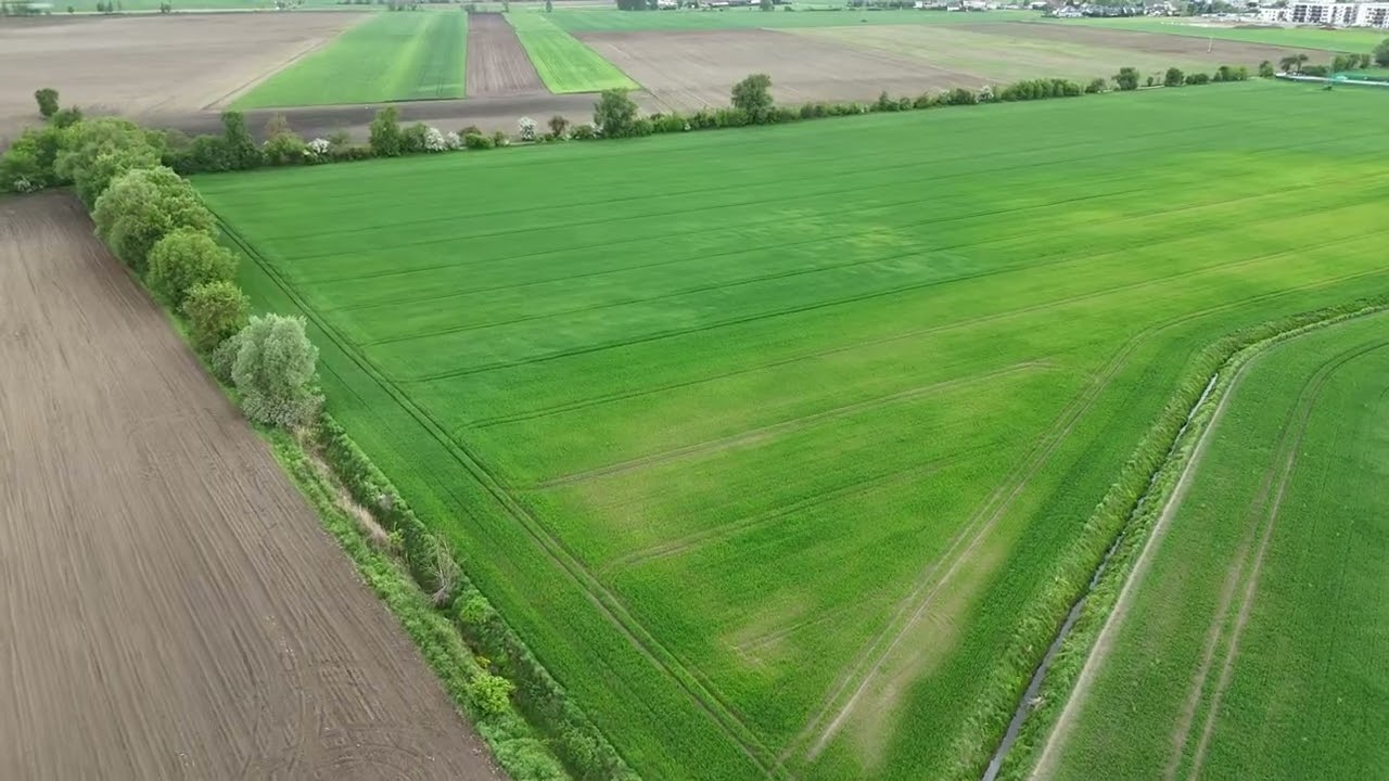 Zoned commercial plot (Education / Sport / Recreation) | Poznań Metropolitan Area - Plot - Sale - Poznański, Swarzędz / Zalasewo