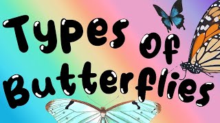 Types of Butterflies - Learning Butterfly Species for Children of all Ages, Toddlers and Babies Pt 1