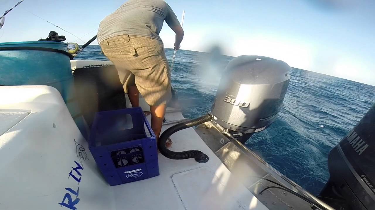 wf104 wahoo