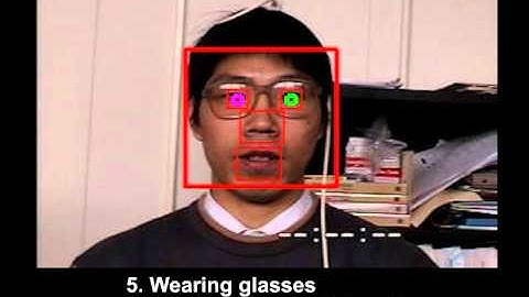 MMLAB- Facial Feature detection and tracking demo