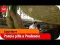 Poncia descubre a Prudencio con Gustava | Aquelarre – T1E76