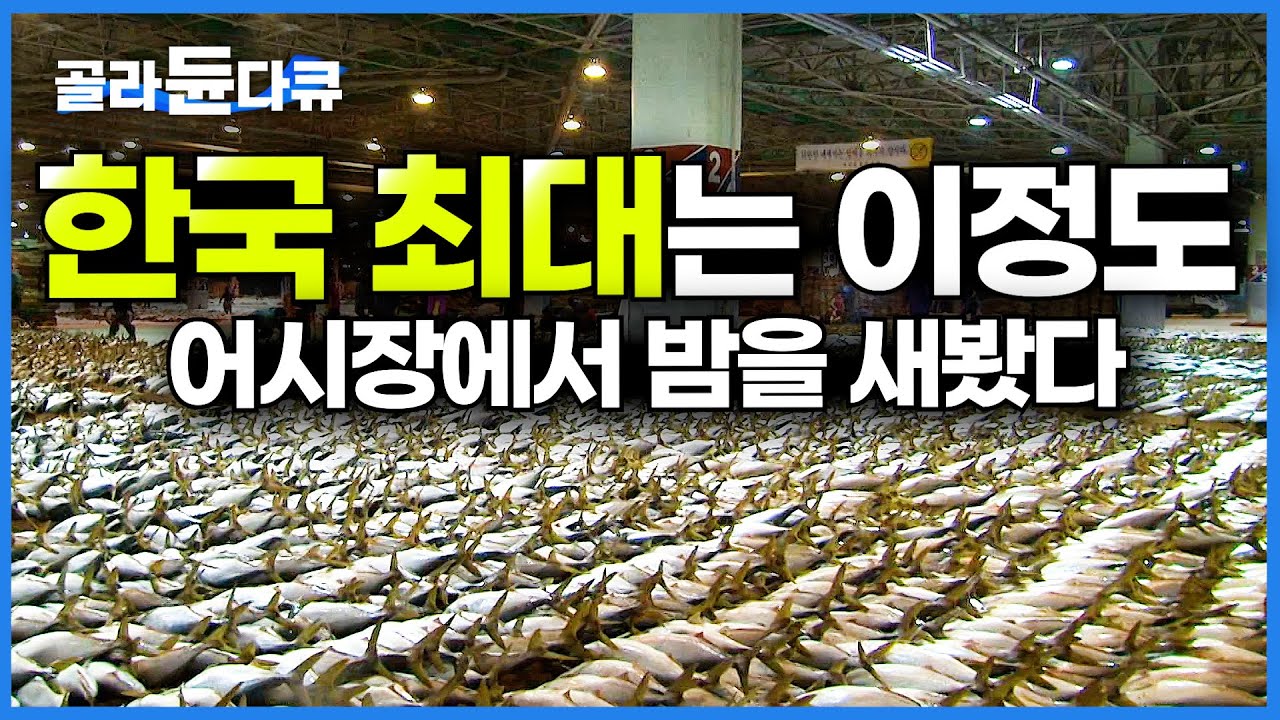 한국 모든 생선 싹 다 모인다는 부산 어시장에서 밤을 새봤다. 국내 수산시장의 모든 것│극한직업│