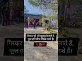 गिरकर भी जो खुशबू फैलाते हैं🌹🌺💯...#flowers #pskandausa#relatable #govtschool #teachers #videoshort #