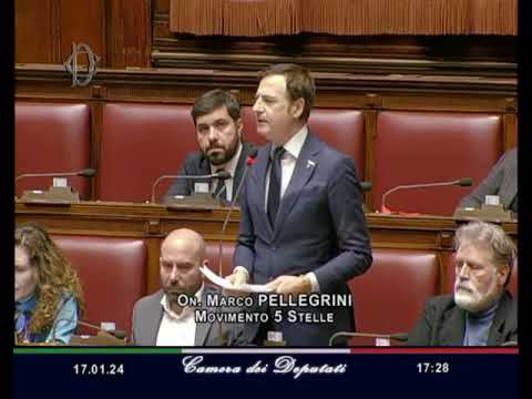 Cessione Rete Tim,  Marco Pellegrini (M5S): "Giorgetti riferisca in Parlamento"