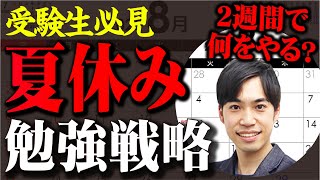 【受験生必見】夏休みの”勉強戦略”を本音で語ります。