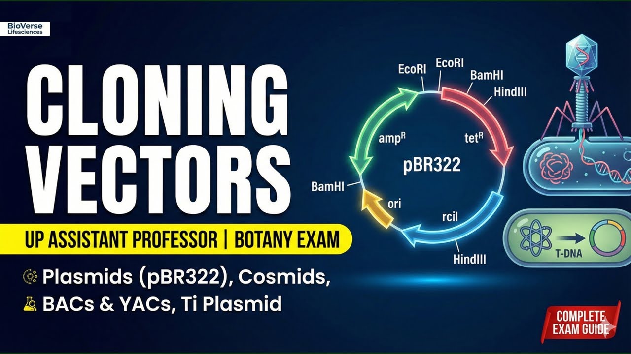 Cloning Vectors | Molecular Biology for UP Assistant Professor Botany | Complete Concept + PYQs
