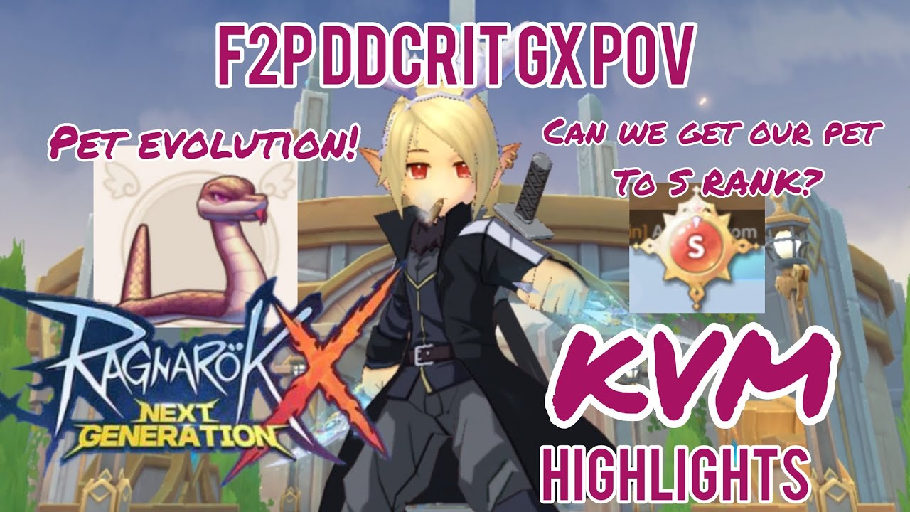 DDCrit GX POV Pet Evolve Attempt! + KVM Highlights Ragnarok X Next ...