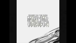 Transmetal - Absurd Ruins