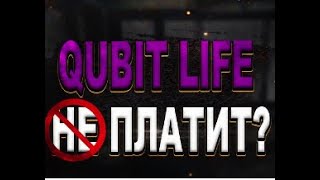 Когда скам Кубика?QubitLife