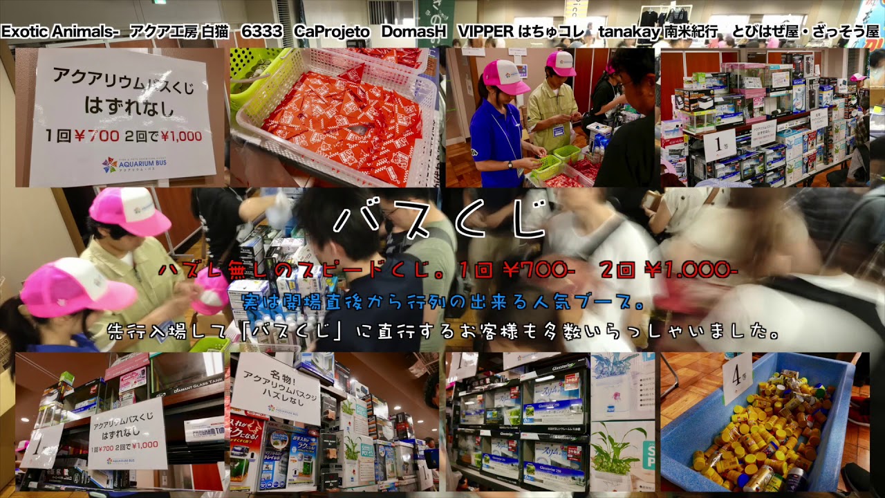 イベント 熱帯魚 生き物関連の即売会イベント アクアリウムバス Vol 17 が 10 14 日 に東京 浅草で開催 イベント お知らせ 熱帯魚のことなら みずものコム