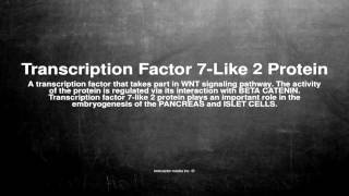 Medical vocabulary: What does Transcription Factor 7-Like 2 Protein mean