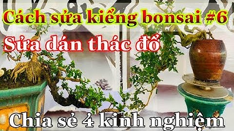 sửa kiểng bonsai #6  sửa cây bonsai thác đổ - Bán thác đổ | đang lại clip . clip trước bị lỗi